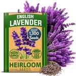 Home Grown Premium English Lavender 1,300 Herb Seeds,wildflower Fo.... Fixed Price $13.98.