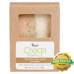 Chaga Mushroom Soap Bar With Birch Tree Leaves Natural Hand Made. Fixed Price $14.99.