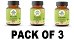 Organic India Amalaki 60 Veg Capsules X 3 Natural Vitamin Herbal Supplement. Fixed Price $28.17.