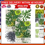 250 Non-gmo Rue Herb Seeds For Indoor/outdoor Medicinal Gardening Packs. Fixed Price $19.99.