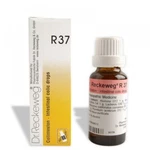 Reckeweg R37 Intestinal Colic Homeopathic Drop 22ML. Fixed Price $17.53.