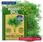 Home Grown Non Gmo Dill Seeds For Planting 1,014 Bouquet And Heirloom. Fixed Price $10.92.