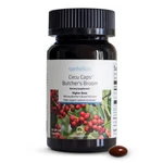 Sanhelios Circu Caps Higher Dose Max Potency Butchers Broom Extract 900MG -. Fixed Price $29.49.