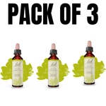 Bach Original White Chestnut Calm The Mind 0.7 Fl Oz (20 Ml) Pack Of 3. Fixed Price $55.00.