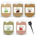 Shudh Online Herbal Hair Mask Powder Combo, 50 G (pack Of 5), Multicolor. Fixed Price $20.12.