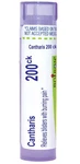 Homeopathic Medicine Cantharis 200CK Blisters Burning Pain 80 Pellets Boiron. Fixed Price $20.00.