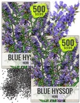 Needs Hyssop Seeds For Planting Herbs 2 Packs, (blue). Fixed Price $11.94.