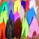 Salt Water Buck Tail For Fly Tying - 3.75"+ Hair Dyed Natural White. Fixed Price $12.95.