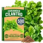 Home Grown Non Gmo 500+ Cilantro Seeds For Planting Indoors Outdoors Heir.... Fixed Price $17.35.