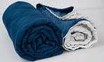 Aviano Premium Weighted Blanket + Microfiber Cover Combo 20 Lbs Blue 60" X 80". Fixed Price $49.99.