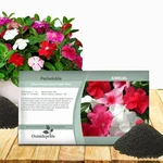Outsidepride Mix Periwinkle For Planting 4000 Pcs Seeds,. Fixed Price $14.88.