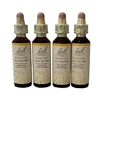 Flower Essence Wild Oat 20 Ml By Bach Remedies 4 Bottles. Fixed Price $38.00.