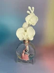 Pre-owned Chando Shanghai Fantasy Enchanted Orchid Porcelain & Glass Diffuser. Fixed Price $35.00.