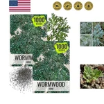 Wormwood Seeds For Planting Non-gmo, Heirloom & Untreated Perennial Herb .... Fixed Price $12.99.