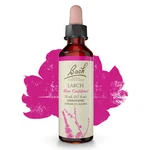 Bach Original Flower Remedies Larch Have Confidence 0.7 Oz 20ML. Fixed Price $18.65.