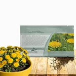 Outsidepride Dandelion Seeds For Planting - 5,000 Perennial, Easy To Grow. Fixed Price $16.94.
