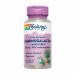 Arabinogalactan 60 Caps By Solaray. Fixed Price $21.19.