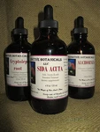 Bidens Pilosa Extract / Tincture Lyme Bartonella Babs. Fixed Price $36.50.