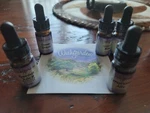 Wishgarden Herbal Remedies Lot Of 5 Travel Size .27 Oz Juice Stress Ally Bliss. Fixed Price $35.00.