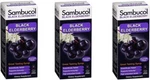Sambucol Immune Support Syrup 4OZ (3 Pack). Fixed Price $63.50.