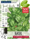 Needs Basil Seeds For Planting Italian Large Leaf Herbs Non-gmo Heirloom. Fixed Price $6.23.