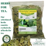 Whole Soursop Leaves, 100% Natural Graviola, Hojas De Guanabana Enteras, Tea. Fixed Price $38.99.