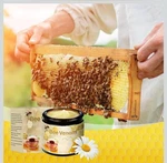1X Pomada Abeja Diolmex Deportistas,dolores Musculares Reumas Y Artritis. Fixed Price $37.91.