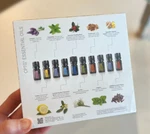$180 Doterra Family Essentials Kit - Pack Of 10 (5ML) Bottles New Sealed Box. Fixed Price $84.49.