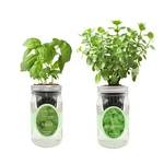 Environet 2-PACK Hydroponic Mason Jar Herb Garden Kit, Indoor Sel.... Fixed Price $54.53.