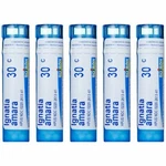 Boiron Ignatia Amara 30C Homeopathic Medicine For Stress Pack Of 5. Fixed Price $36.99.