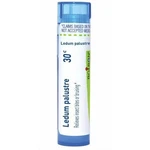 Boiron Ledum Palustre 30C Insect Bite Relief 80 Pellets (1 Tube). Fixed Price $13.99.