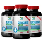 Manganese Gluconate - Glucosamine Chondroitin Msm 3230MG Synovial Joints 3B. Fixed Price $48.47.