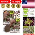 Easy-grow Wild Creeping Thyme Seeds Purple Flowers For Sustainable Gardening. Fixed Price $12.34.
