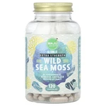 Wild Sea Moss, 120 Capsules. Fixed Price $47.24.