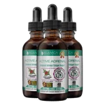 Active Adrenal Fatigue Remedy All-natural Liquid Formula 3-PACK. Fixed Price $86.00.