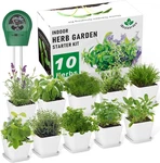 Indoor Herb Garden Kit 10 Non-gmo Seeds With Soil, Pots & Moisture Meter. Fixed Price $45.50.