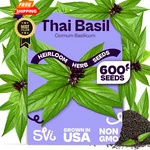 Svi 600 Sweet Thai Seeds (ocimum Basilicum) Packets Green. Fixed Price $12.99.