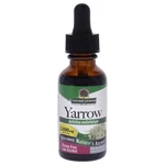 Yarrow Flowers - 2000MG By Natures Answer For Unisex 1 Oz Dietary Supplement. Fixed Price $13.99.