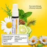 Pack 3 Pcs Kamillosan Mouth Spray Chamomile Oral Bacterial Tonsil Bad Breath. Fixed Price $29.99.