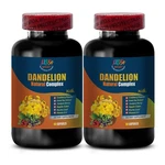 Blood Sugar Control - Dandelion Root 520MG Sport Supplements 2B. Fixed Price $31.97.
