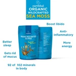 Earthbal Wildcrafted Raw Sea Moss 4 Oz For Gel Vegan St Lucia. Fixed Price $24.94.