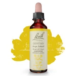 Bach Original Flower Remedies Gentian Accept Setbacks 0.7 Oz 20ML. Fixed Price $18.65.