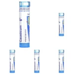 Boiron Causticum 6 80 Ct Pack Of 5. Fixed Price $73.61.
