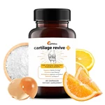 Upwellness Cartilage Revive + Joint Support Supplement For And Women 60 Caps. Fixed Price $42.10.