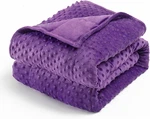 Minky Dot Weighted Blanket 15LBS Queen Size For Stress Relief & Sleep, Purple. Fixed Price $92.99.