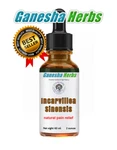 Incarvillea Sinensis - Extract Liquid Tincture Natural Pain Relief 60ML/2OZ. Fixed Price $18.99.