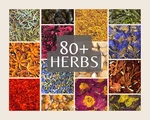 Dried Herbs L-z 1 Oz Bag Organic Apothecary Flowers Leaves Roots Resins Diy. Fixed Price $8.81.