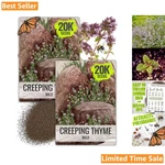 Wild Creeping Thyme Seeds - Heirloom Purple Groundcover For Rock & Butterfly .... Fixed Price $13.99.