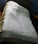Nikken Twin Kenko Dream "light" Comforter With Adaptive Sleep Technology 66X86. Fixed Price $89.00.