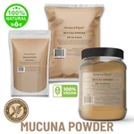 Mucuna Powder Wholesale Bulk 100% Pure Natural Pruriens Bean Haba Del Terciopelo. Fixed Price $77.03.
